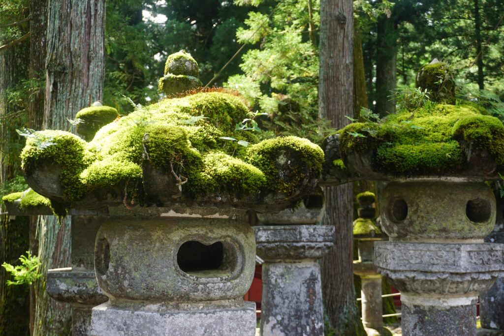 Bild, das moosbewachsene Stein-Laternen in einem japanischen Tempel zeigt