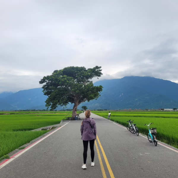 Chishang: Taiwan’s Reiskorb