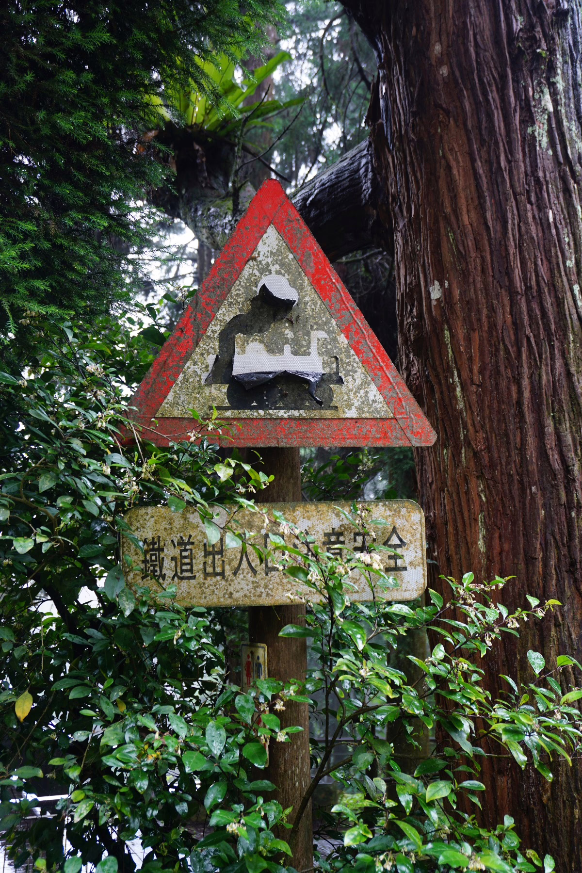 Staubfänger der Berge: Fenchihu